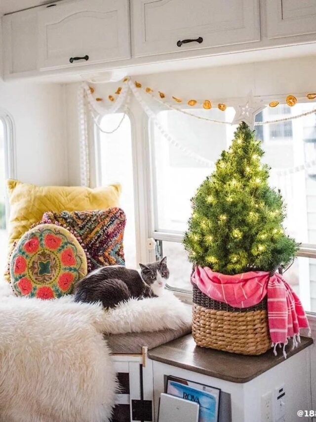 Yes, you can fit a Christmas tree in an RV! Here are 10 ideas. RV