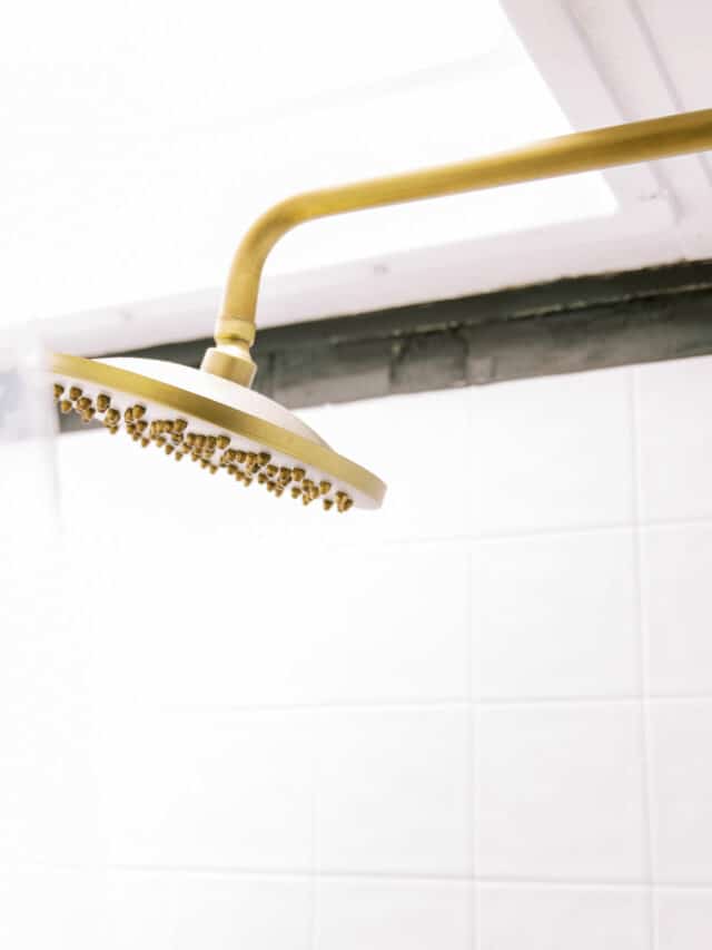 cropped-shower-head-jeff-myers-renovated-rv-for-sale-sold.jpg.jpeg